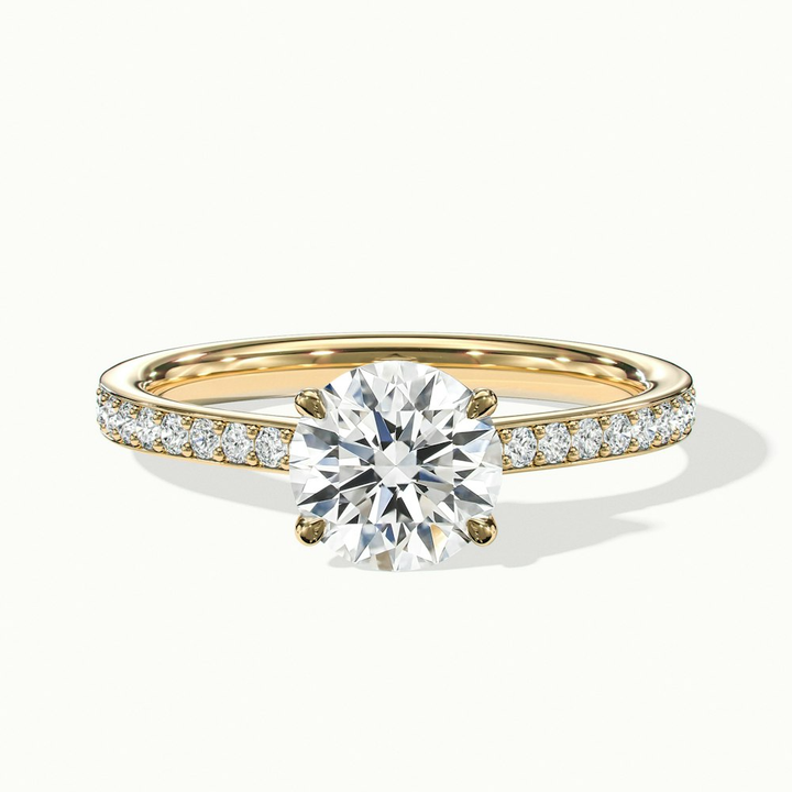 Elma 1 Carat Round Cut Solitaire Pave Moissanite Diamond Ring in 10k Yellow Gold