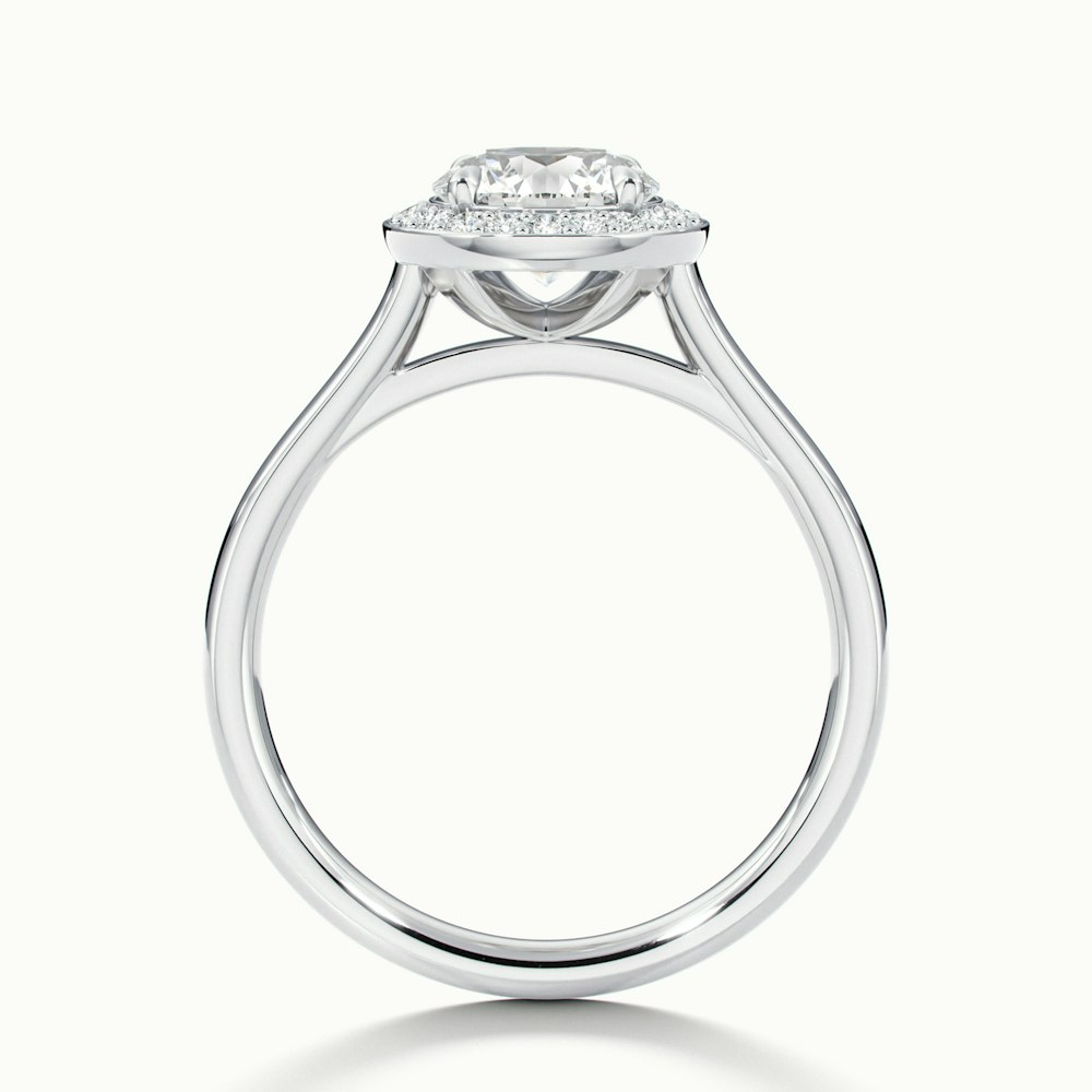Iva 1 Carat Round Halo Moissanite Diamond Ring in 10k White Gold