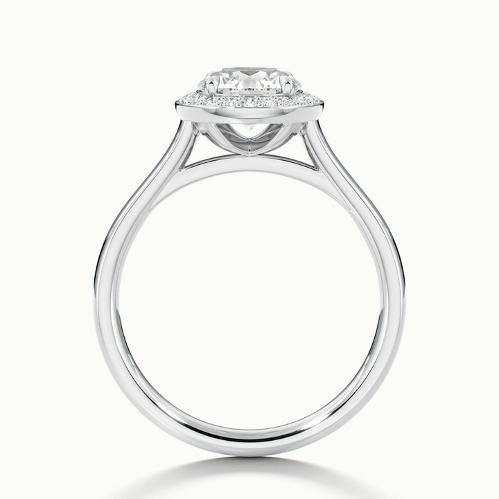 Iva 1 Carat Round Halo Moissanite Diamond Ring in Platinum