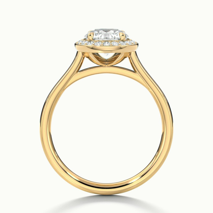 Iva 2.5 Carat Round Halo Moissanite Diamond Ring in 10k Yellow Gold