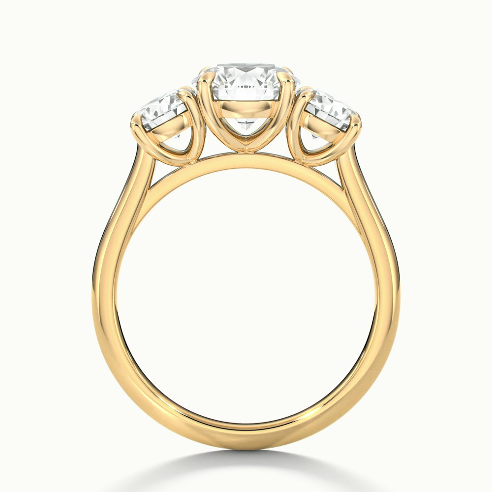 Hana 3 Carat Round Three Stone Moissanite Diamond Ring in 10k Yellow Gold