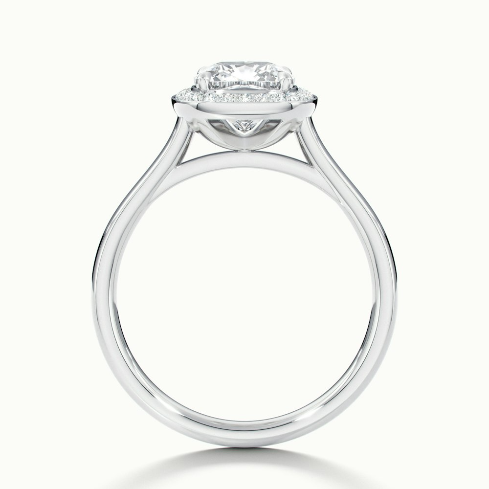 Jeri 2 Carat Cushion Cut Halo Moissanite Engagement Ring in Platinum