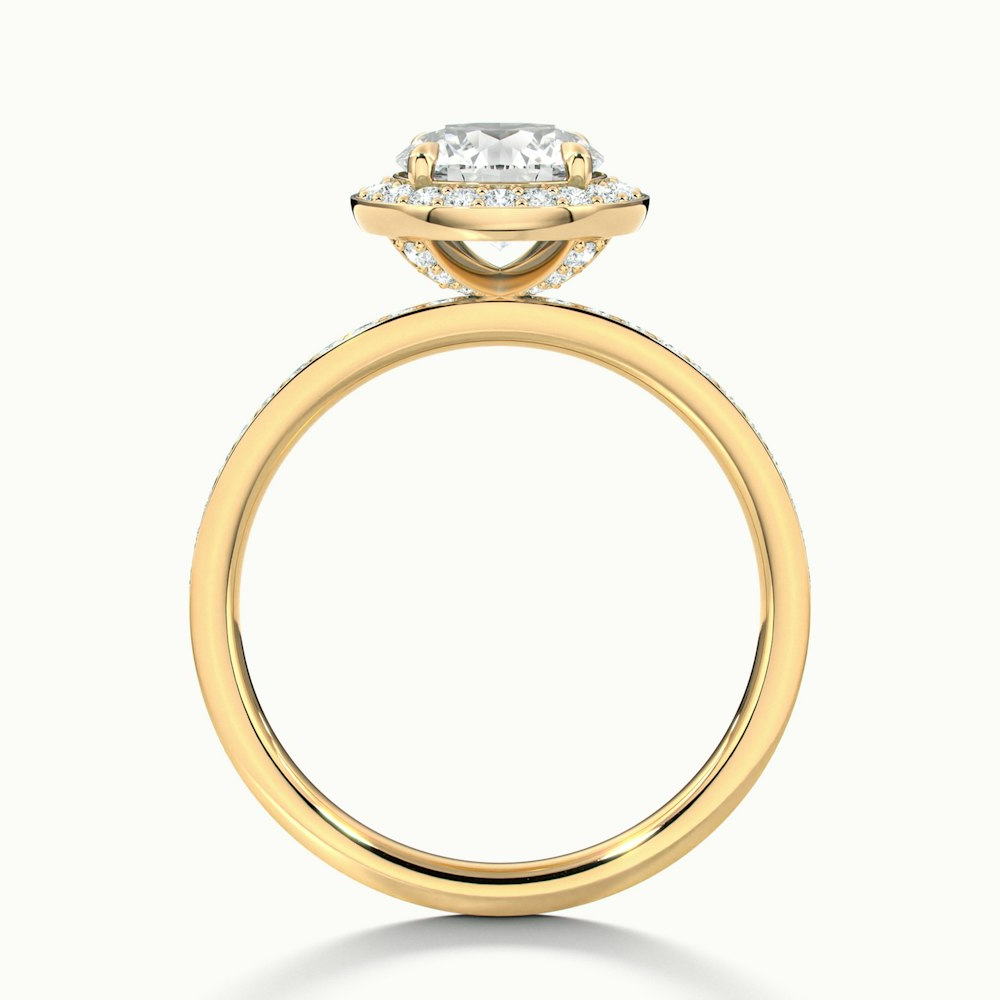 Nyra 2 Carat Round Halo Pave Moissanite Engagement Ring in 10k Yellow Gold