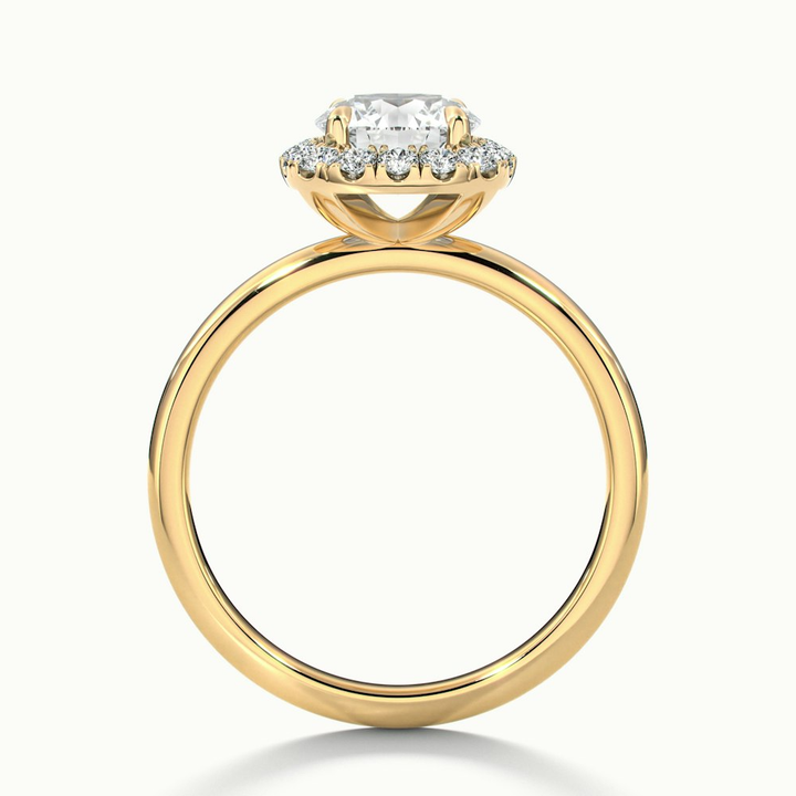 Anya 1 Carat Round Cut Halo Moissanite Engagement Ring in 10k Yellow Gold