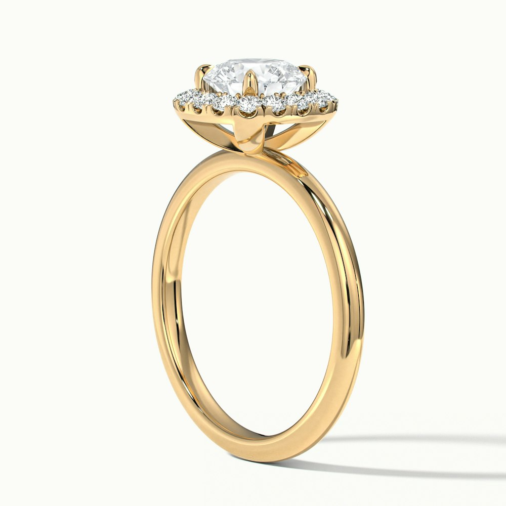 Anya 1 Carat Round Cut Halo Moissanite Engagement Ring in 10k Yellow Gold